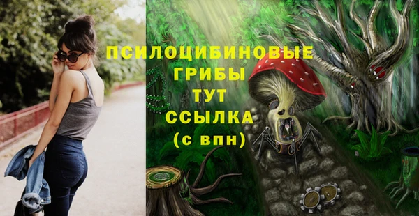 каннабис Арсеньев