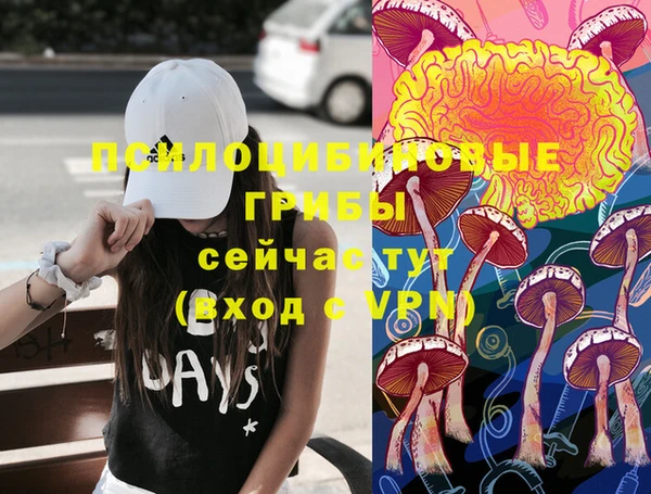гидропоника Аркадак