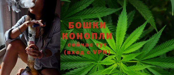 каннабис Арсеньев