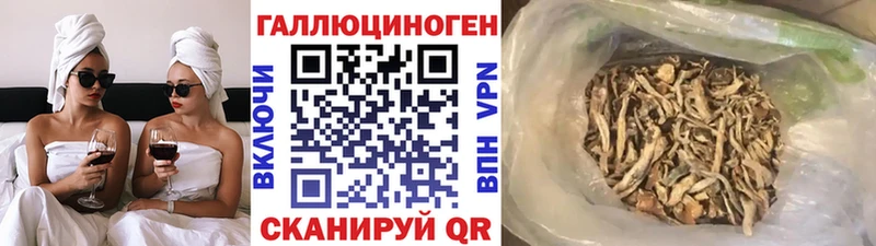 Галлюциногенные грибы Cubensis  Лаишево 